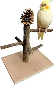 Wooden Cockatiel Playground - Tabletop Parrot Perch Stand | Bird Training Rack Parrot Toy Supplies Desktop Training Stand Parrot Stand Pole Interactive, Perch Stand for Bird Cage, Bird Perch Branches