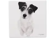 Ashdene Delightful Dogs - Jack Russell Ceramic Coaster