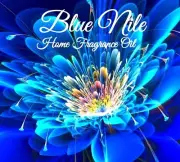 Blue Nile Home Fragrance Aromatherapy Diffuser Warmer Burning Oil