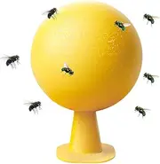 [Gupcaqosjw] Fruit Fly Catcher | Fruit Fly Sticky Trap | Catching Ball Adhesive Transparent Portable Repeller Glue for Kitchen Garden Patio