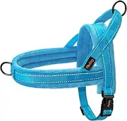Didog Soft Flannel Padded Dog Vest Harness, Escape Proof/Quick Fit Reflective Dog Strap Harness,Easy for Training Walking,Blue XS Size