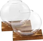VANZACK 2 Sets Clear Glass Planters with Base Decorative Hydroponic Vases for Home Office Small Modern Flower Vases for Plants Floral Arrangements