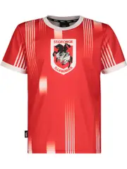 Dragons NRL Youth Training T-Shirt