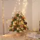 【暖&和家居】24H現貨 ✨超美金色聖誕樹 聖誕樹 小聖誕樹 松果迷你聖誕樹 聖誕樹套組 燈串裝飾聖誕樹 桌面聖誕樹 聖