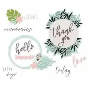 Sizzix Framelits Die & Stamp Set Detailed Tropicals 13pc Set by Sophie Guilar