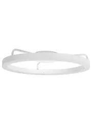 Circa 450mm LED Flush Mount in White