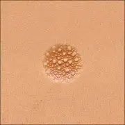 Matting Pebble Texture Large Round M884 Leather Stamp