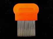 Hair Lice Nit Pets Flea Eggs Dirt Dandruff Dust Remover Steel Tooth Comb Brush