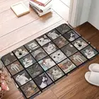 Doormat Bath Mat Meme Balcony Carpet Welcome Rug Home Decorative