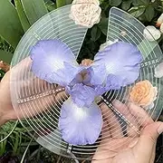 Floral Bloom Measuring Tool, Transparent Acrylic Flower Size Measuring Ruler, Bloom Diameter Ruler, for Gardeners, Florists, Flower Breeders, Flower Farmer Tool (6-21cm)