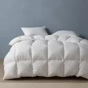 Sienna Living Winter 80% Goose Down 20% Goose Feather Quilt