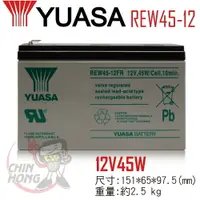 在飛比找樂天市場購物網優惠-【CSP】UPS YUASA湯淺 REW45-12 玩具電動