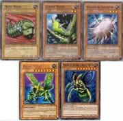 Weevil Battle City Deck - Perfectly Great Moth - Petit - 40 Cards NM - Yugioh