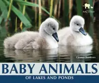 在飛比找博客來優惠-Baby Animals of Lakes and Pond