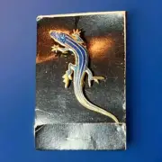 William Spear Lizard Brooch Blue Enameled Fine Lined Skink, Signed WM Spear