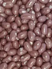 Jelly Belly Beans Grape Crush Candy Candies 5 Pounds Free Shipping