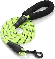 5FT Dog Nylon Leash | 150cm Long Reflective Nylon Dog Leash with Comfortable Padded Handle-Durable Puppy Training Leashes for Training and Night Walking (Green, 5FT)