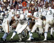 NFL Miami Dolphins QB Bob Griese Larry Csonka Game Action Color 8 X 10 Photo