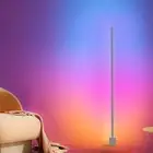 Smart Corner Floor Lamp, LED Floor Lamp with Alexa and App Control, 16 Millio...