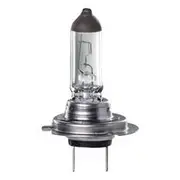 Ignite H7 55W Halogen Globe with PX26D Base - Pack of 1 - IGL2160