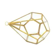 Artistic Wall Tears Shape Geometric Polyhedron Air Plant Holder Desk