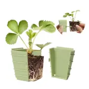 Green Bazzar Seed Starter Tray 10 Pieces Square 2.3'' Pots Reusable Gardening