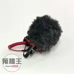 【蒐機王】RODE VIDEO MICRO 指向性微型麥克風【歡迎舊3C折抵】C8692-6