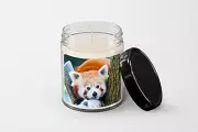Red Panda Lying on a Branch Candle - Soy Wax Candle - Hand Poured Candle