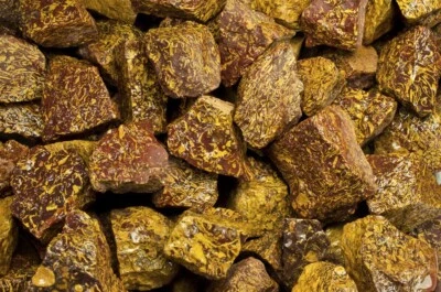 2 lbs Script Jasper / Sea Fossil Rough Stones - Natural Crystal Mineral Rock