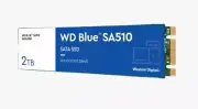 Western Digital WDS200T3B0B WD Blue SA510 SATA SSD 2TB M.2 2280 5-Year Limited W
