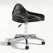 Swivel Chair Ergonomic Saddle Stool w/Wheels Hydraulic Swivel Rolling Stool Chair Height Adjustable for Dentist Beauty Salon Tattoo Home Office