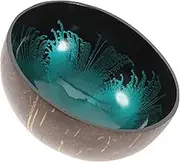 HOMSFOU fruit bowl nuts holder shell bowl smoothie bowls lacquer bowls for keys candy container shells halves Coconut Serving Bowls colored bowls wooden cup coconut shell organic office