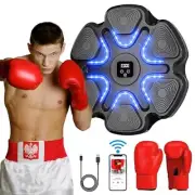 Smart Bluetooth Music Boxing Machine with Boxing Gloves 2024 Upgrade style 2