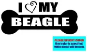 I LOVE MY BEAGLE #019 Vinyl decal sticker Graphic Die Cut CAR Truck 12"