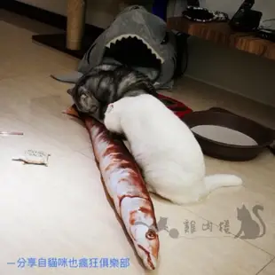 【雞肉捲寵物】80CM-超仿真鹹魚竹梭抱枕 貓咪抱枕 仿真抱枕 秋刀魚