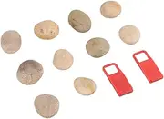 HEALSOPTHY DIY Rocks for Boys and Girls 10 Pcs Hand-Painted Stones Bracket Natural Pebbles for Art Projects School