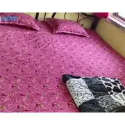 Lara Stay 2bhk Appartments