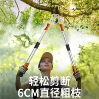 在飛比找樂天市場購物網優惠-園藝修剪樹枝剪刀園林果樹強力粗枝剪高枝剪大力修枝剪省力粗剪刀