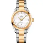 OMEGA Seamaster Aqua Terra 231.20.34.20.55.002 Unisex