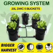 HYDROPONICS 5x 20L BUCKETS KIT DWC COMPLETED SYSTEM ROOTS GROWING BIGGER HEAVEST