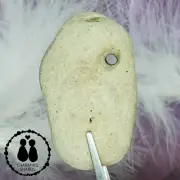 HOLEY HAG STONE NATURAL SURF TUMBLED BEACH ROCK WISHING GOOD LUCK FAIRY #1492