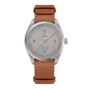 Omega Railmaster 40 Stainless Steel Silver Dial 220.12.40.20.06.001