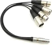 ATO~os 10 Pin Elbow Male Plug to 4 XLR Breakout Audio Input Output Cable for Shog~n Monitor Recorder(Straight Plug Cable,10cm)