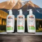 3 Palmer's Cocoa Butter Formula With Vitamin E Massage Lotion for Stretch Marks