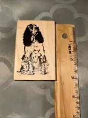 Rubber Cottage Year 2000 Cocker Spaniel Dog Rubber Stamp- New 3x2