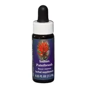 Fes Quintessentials Indian Paintbrush 7.5ml