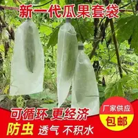 在飛比找樂天市場購物網優惠-防鳥網 果樹網罩 苦瓜絲瓜防蟲套袋瓜果保護袋透光透氣無紡布防