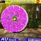 Full Spectrum USB Grow Light Strip Waterproof LED Phyto Lamp Full Spectrum Lamp