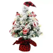 Mini Christmas Tree, 24 Inch/2 FT Lighted Tabletop Artificial Xmas Tree with