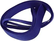 1 Roll Braided Backpack Rope Belt Backpacks Package Accessory Sturdy Fixed Strap Cargo Bundle Strap Flat Webbing Strap Webbing Tie Down Strap Camping Supply Polyester Cotton Blue